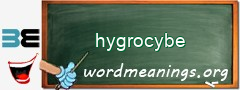 WordMeaning blackboard for hygrocybe